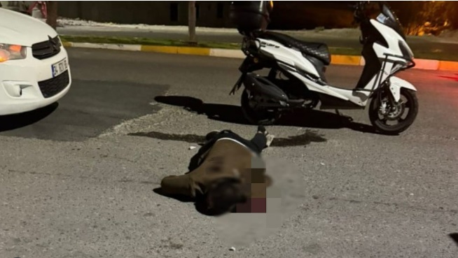 ŞANLIURFA’DA KANLI GECE: FERİT ABRAK BIÇAKLI SALDIRIDA HAYATINI KAYBETTİ