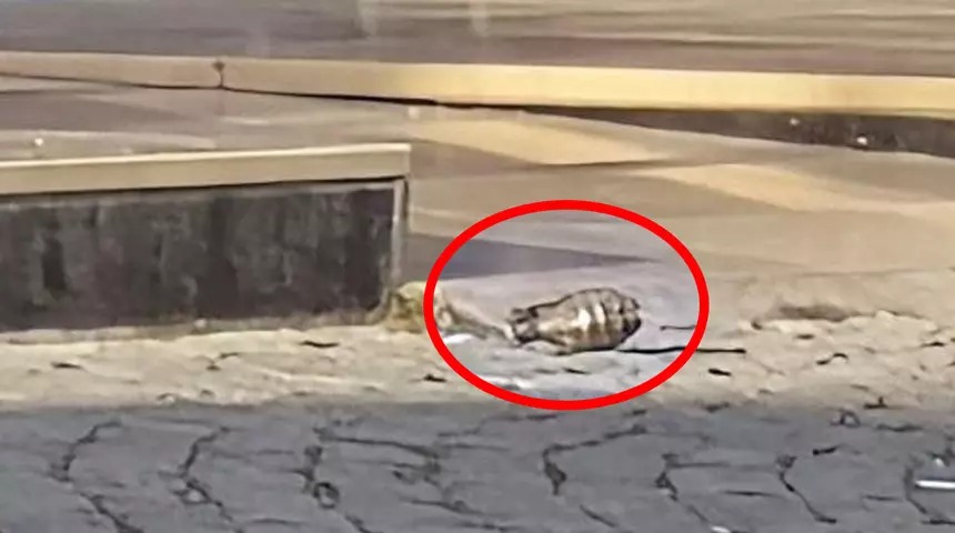 ESENYURT’TA DEHŞET ANLARI: PİMİ ÇEKİLMİŞ EL BOMBASI OTELİN ÖNÜNE ATILDI