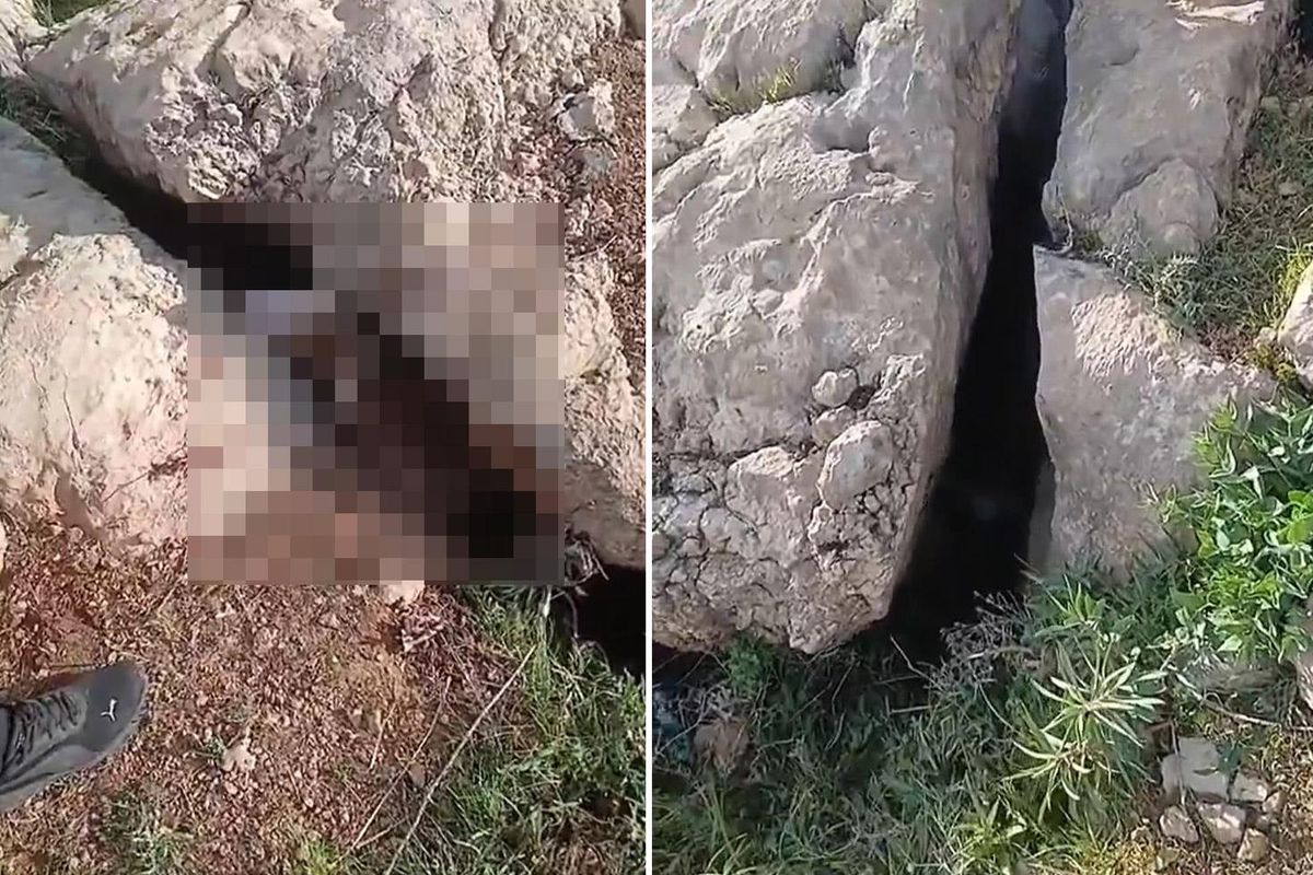 ALTIN ARARKEN KARŞILAŞTIKLARI MANZARA KARŞISINDA DONUP KALDILAR