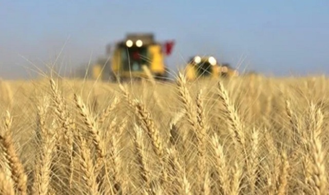 Buğday ve arpa alım fiyatları Şanlıurfalı üreticileri memnun etti