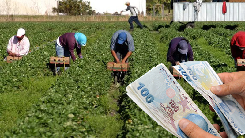 Bakanlık açıkladı: Ödemeler hesaplarda;