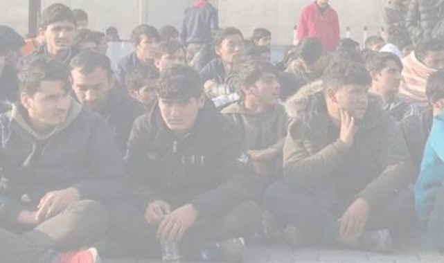 Urfa’da 30 düzensiz göçmen yakalandı;