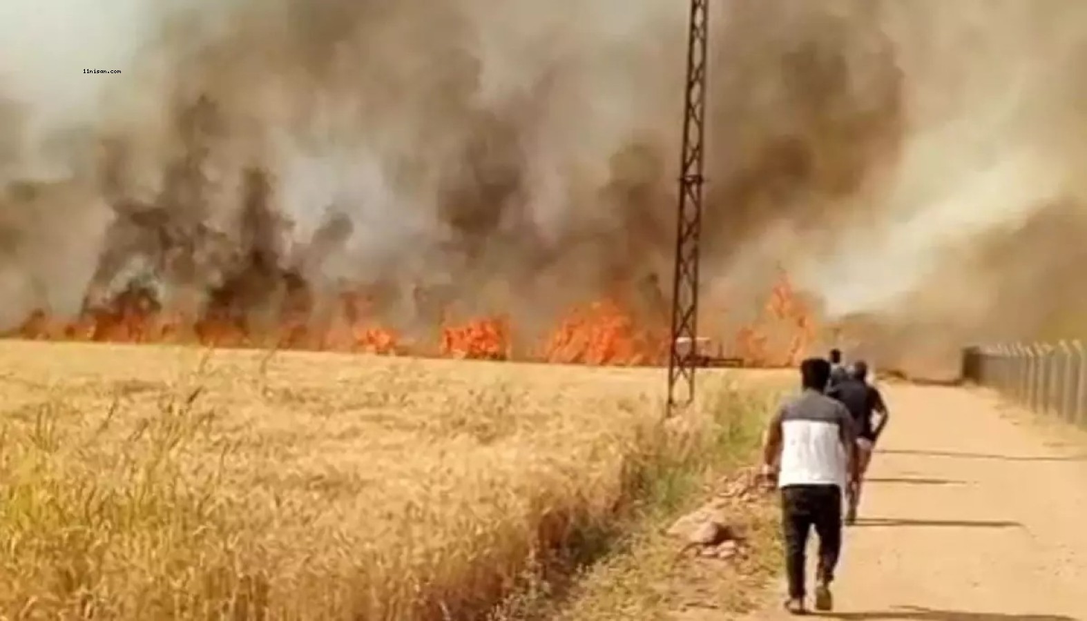 HARAN'DA BUĞDAY TARLASI YANGINI;