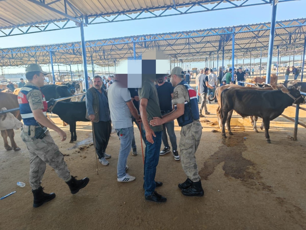 Şanlıurfa’da canlı hayvan pazarında denetim;