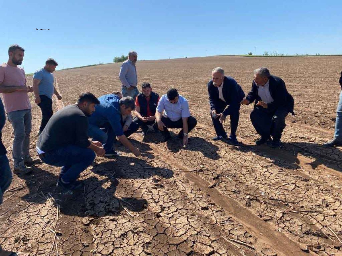 Şanlıurfa’daki çiftçilere uyarı;