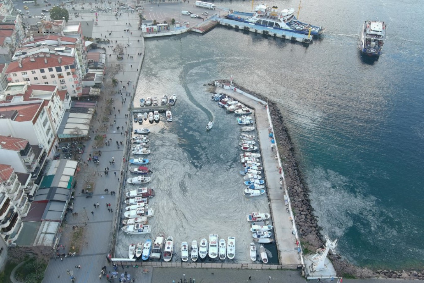 Çanakkale’de müsilaj sebebiyle bir aydır denize ağ atamıyorlar...;