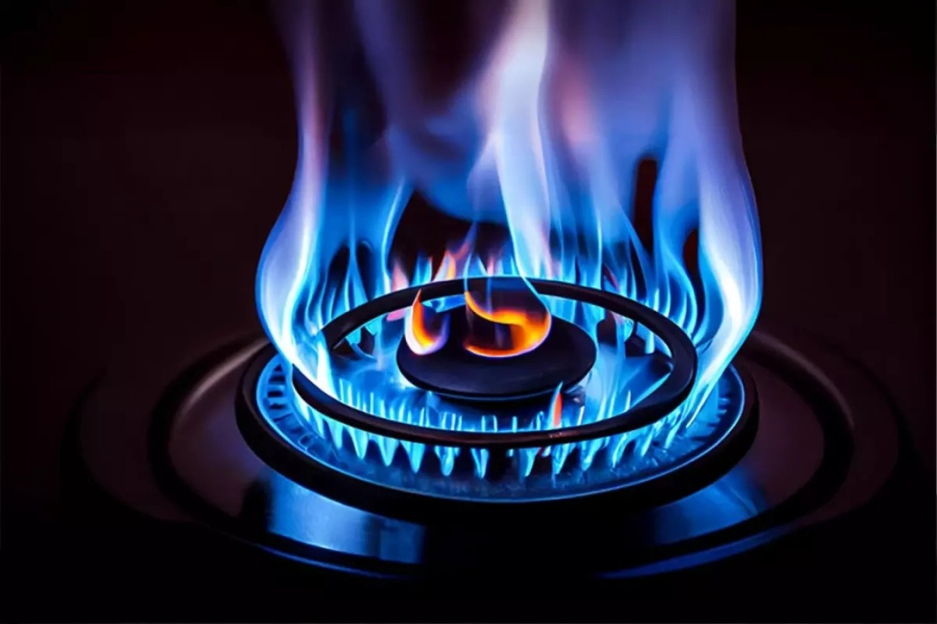 CUMHURBAŞKANI ERDOĞAN'DAN DOĞAL GAZ MÜJDESİ