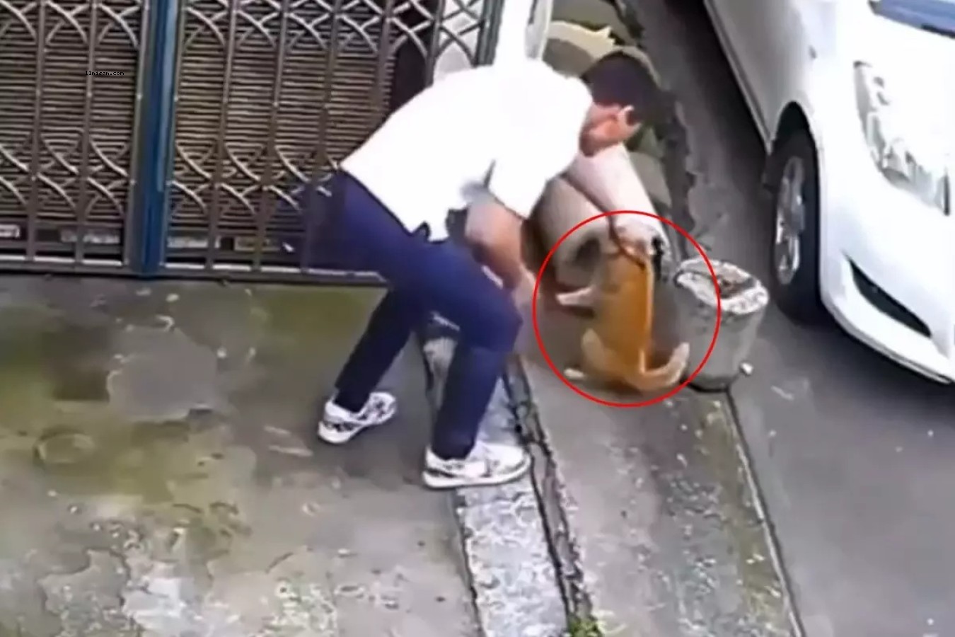 BU CANİYLE AYNI TOPLUMDA YAŞIYORUZ! YAPTIĞINA İNANAMIYACAKSINIZ