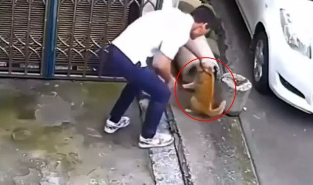 BU CANİYLE AYNI TOPLUMDA YAŞIYORUZ! YAPTIĞINA İNANAMIYACAKSINIZ