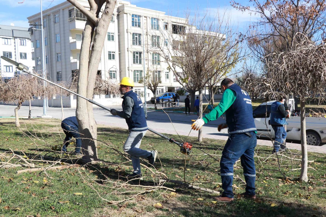 HALİLİYE’DE 203 PARK VE SOKAKLARDA HUMMALI PEYZAJ ÇALIŞMALARI;