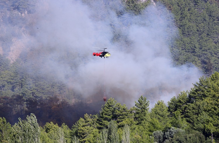Antalya ve Muğla’da Orman Yangınlarıyla Zorlu Mücadele