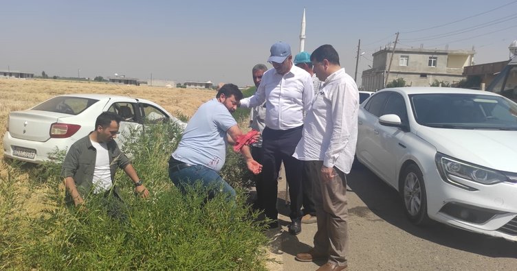 Kazazedeye ilk müdahale Eyyübiye Belediye Başkanı Kuş’tan;