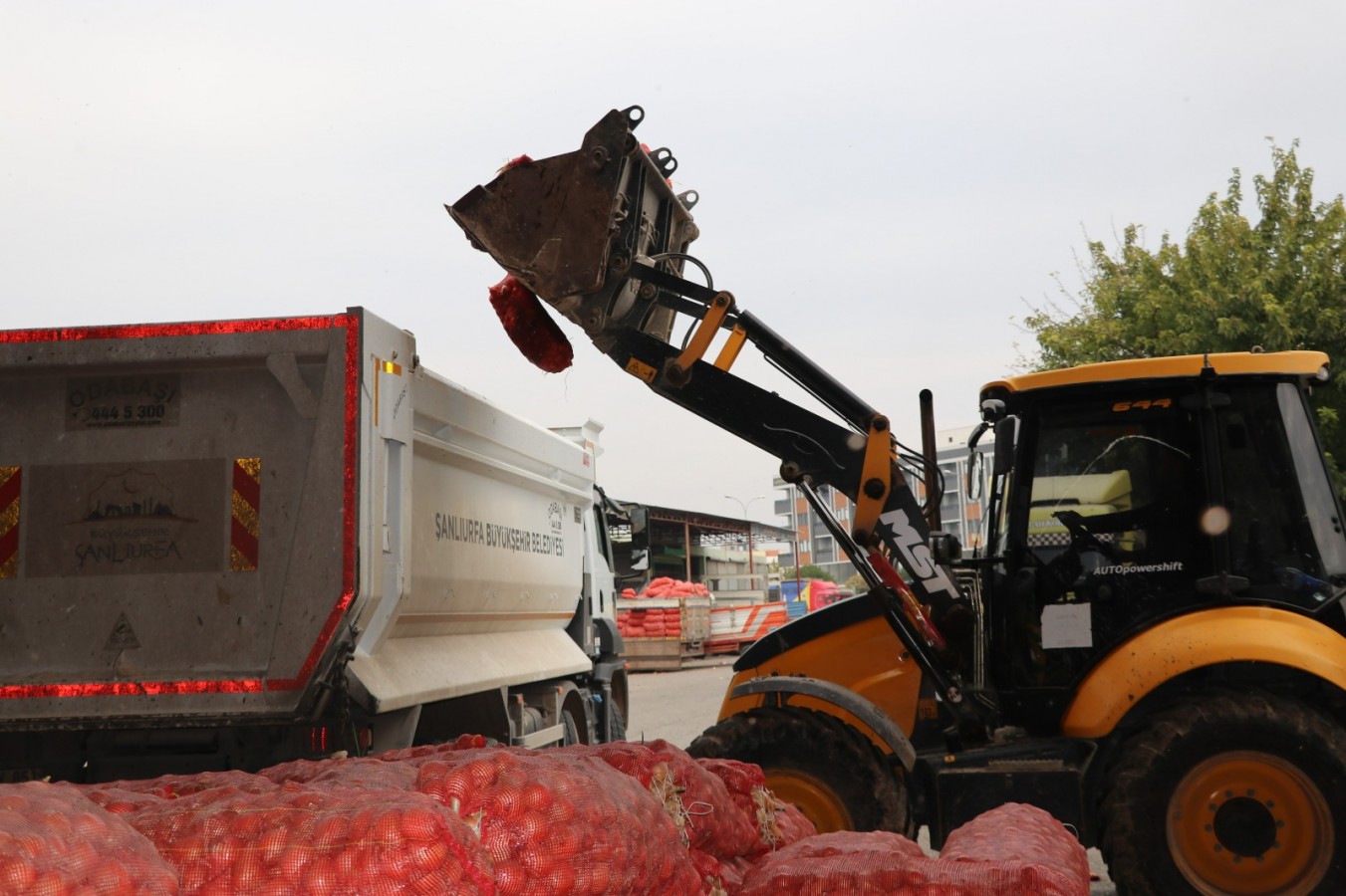 Şanlıurfa’da 22 ton soğan imha edildi;