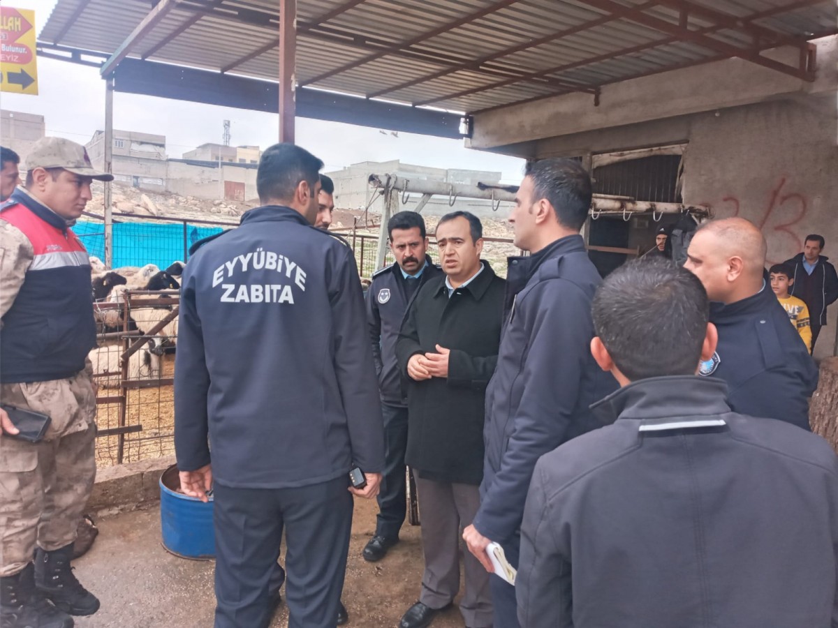 Şanlıurfa’da kaçak hayvan kesimine taviz yok;