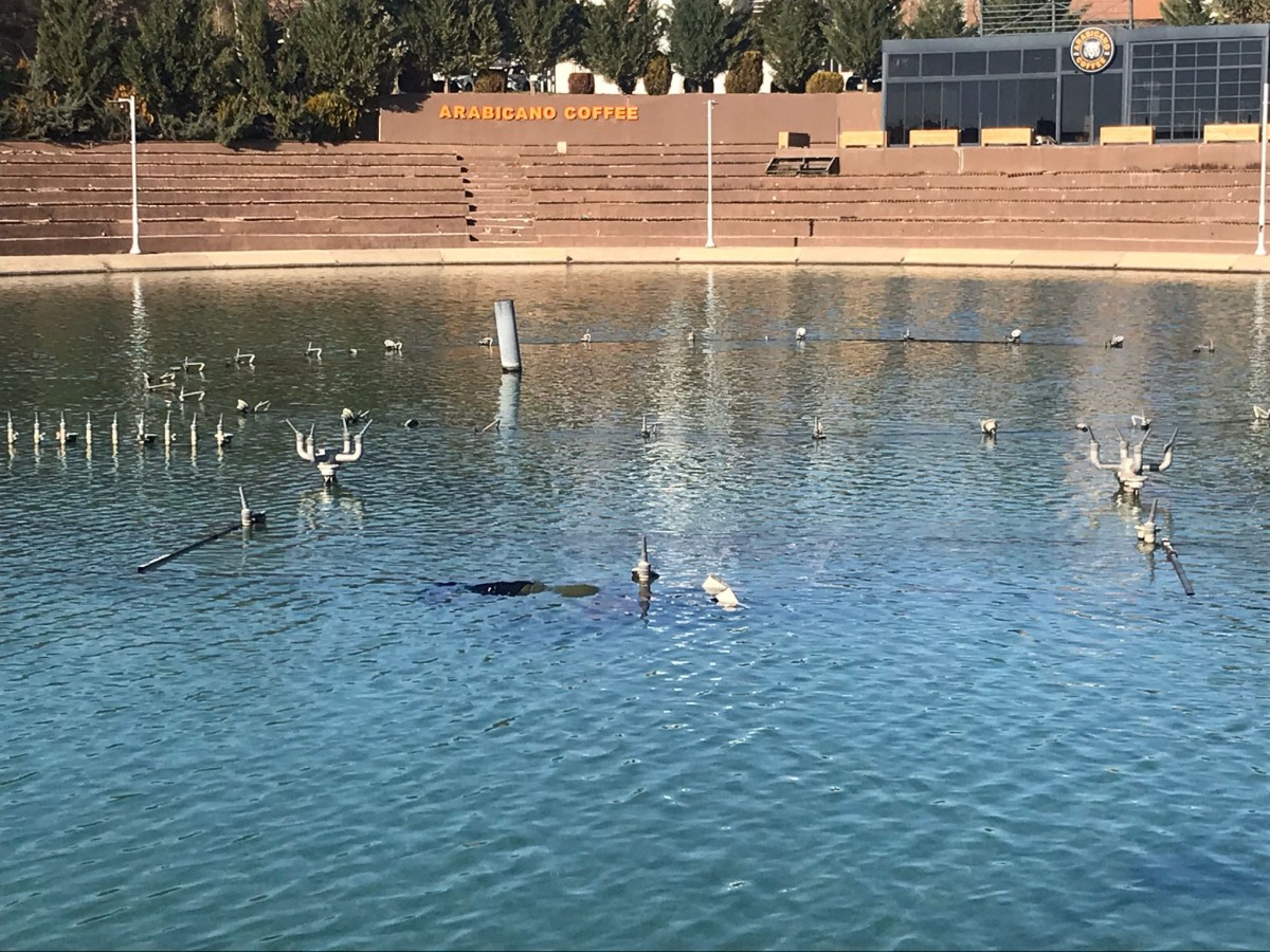 Şanlıurfa'da kadın cesedi!;