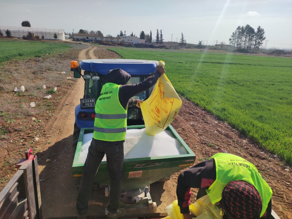 Büyükşehir’den, Akçakale fidanlığına buğday ekimi;