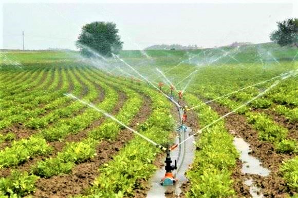 Tarımsal girdi fiyat endeksi verileri açıklandı;