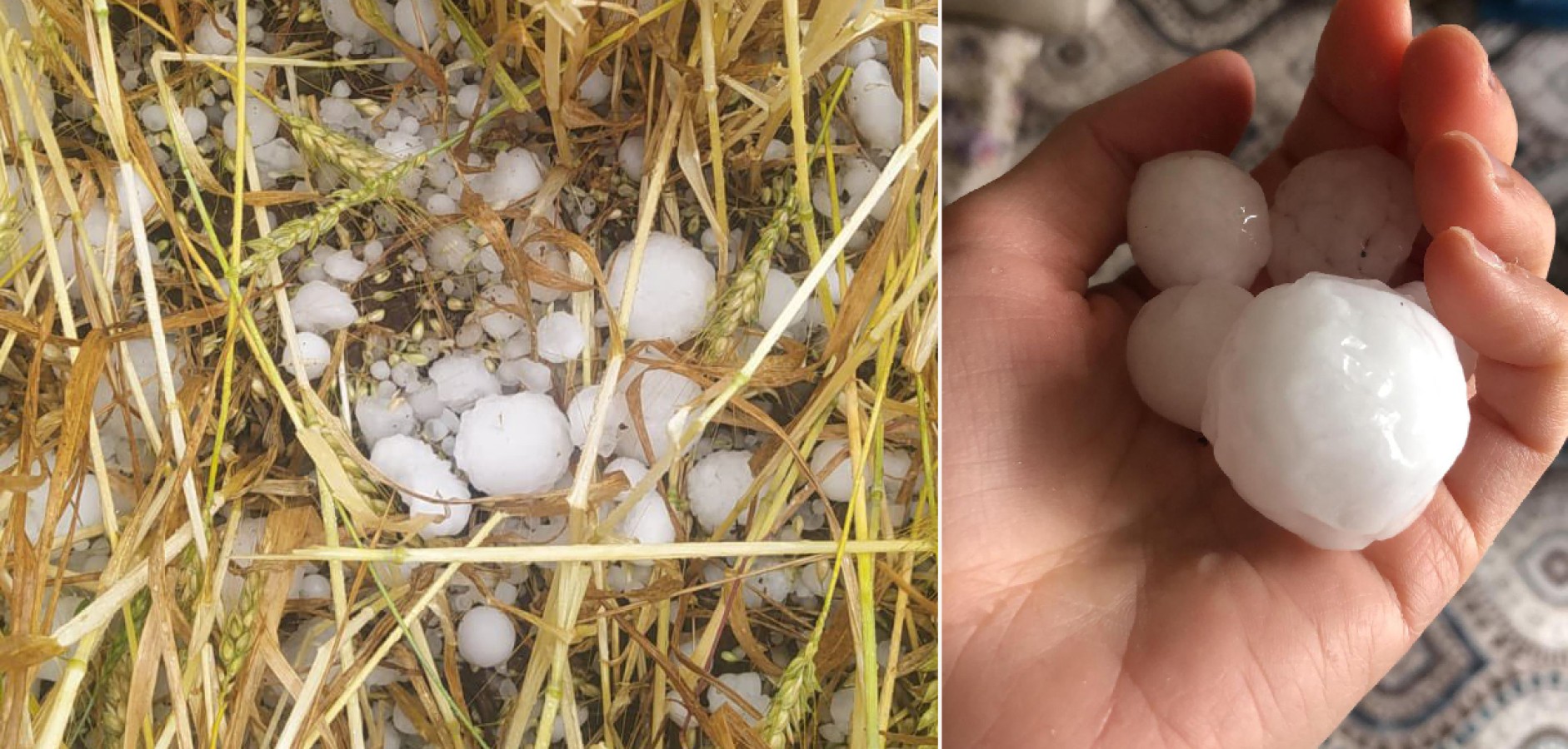 Kaymakamlıktan Siverekli çiftçilere çağrı: Hasar tespiti başladı...;