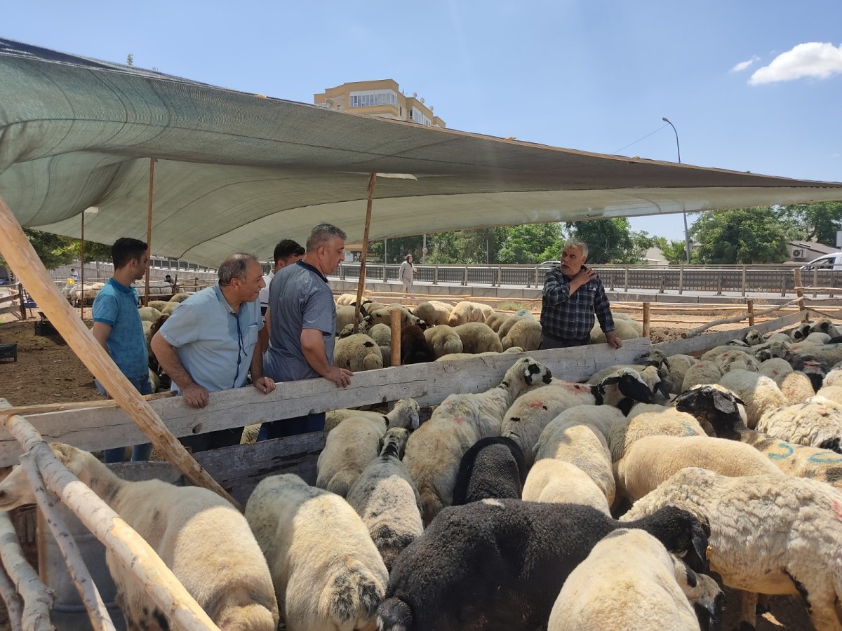 Urfa'da kent merkezine ilk kurbanlıklar gelmeye başladı;