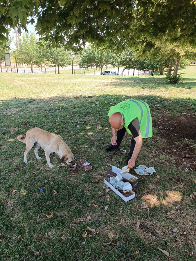 Urfa’da sokak hayvanları için mama bırakıldı;