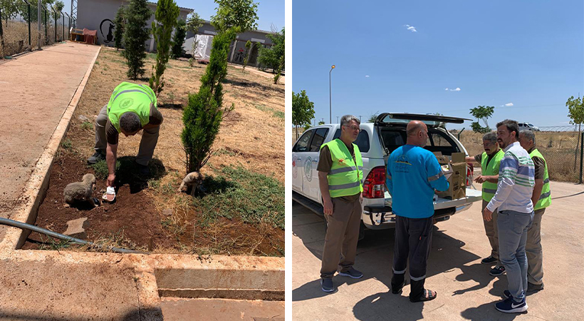 Şanlıurfa’da hayvan barınağına denetim;