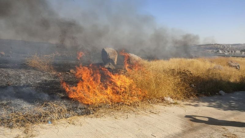 Urfa’da ot yangını;