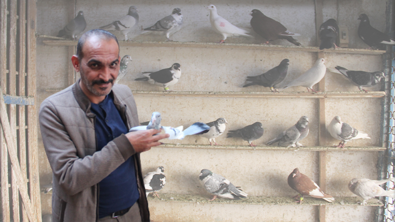 Urfa’daki kuşların fiyatı lüks arabalarla yarışıyor;