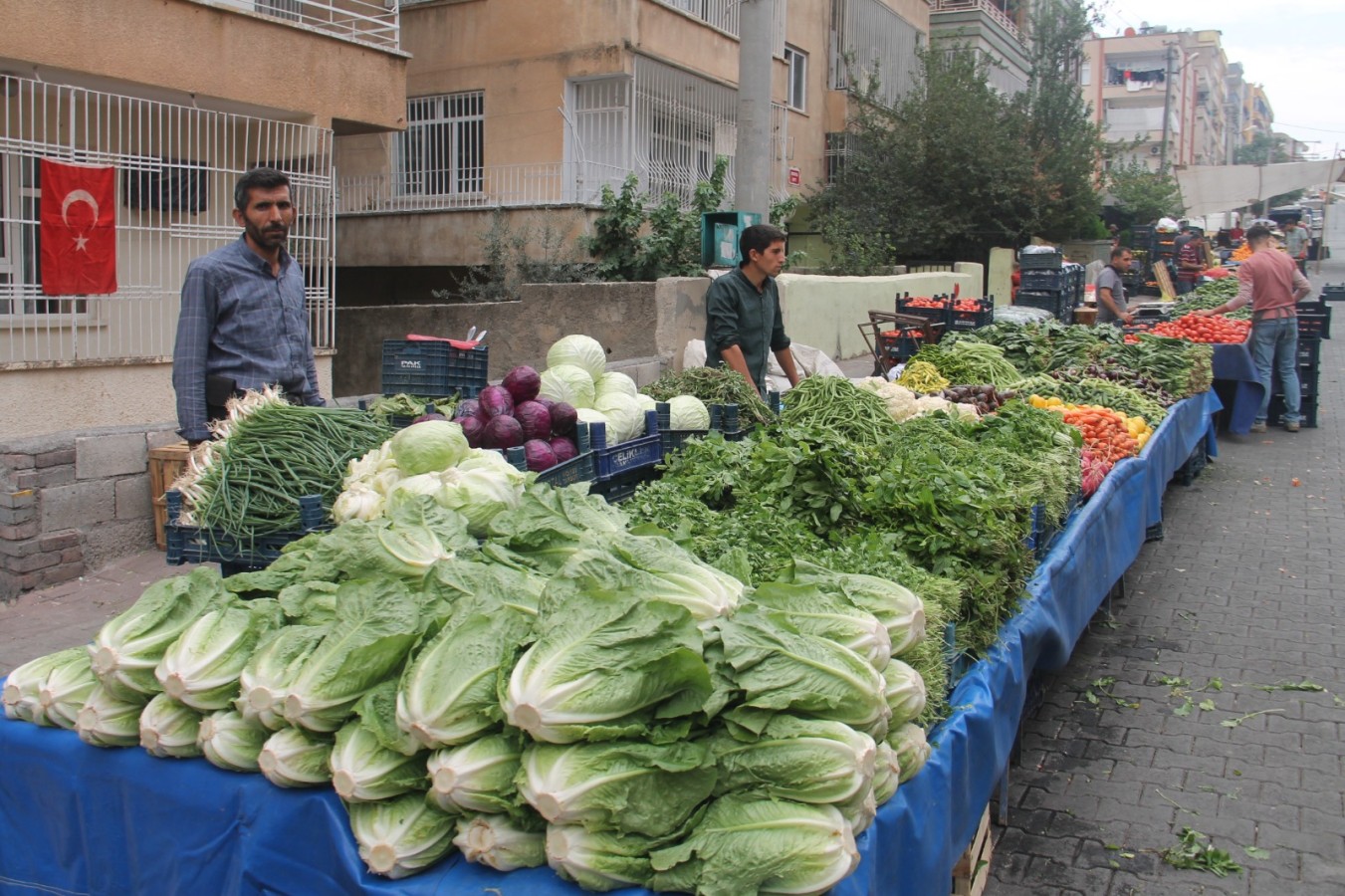Urfa’da turşuluk salatalığın fiyatı cep yakıyor;