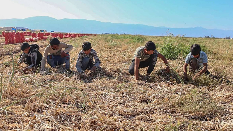 Urfa’da mevsimlik tarım işçilerinin sorunları tartışıldı;