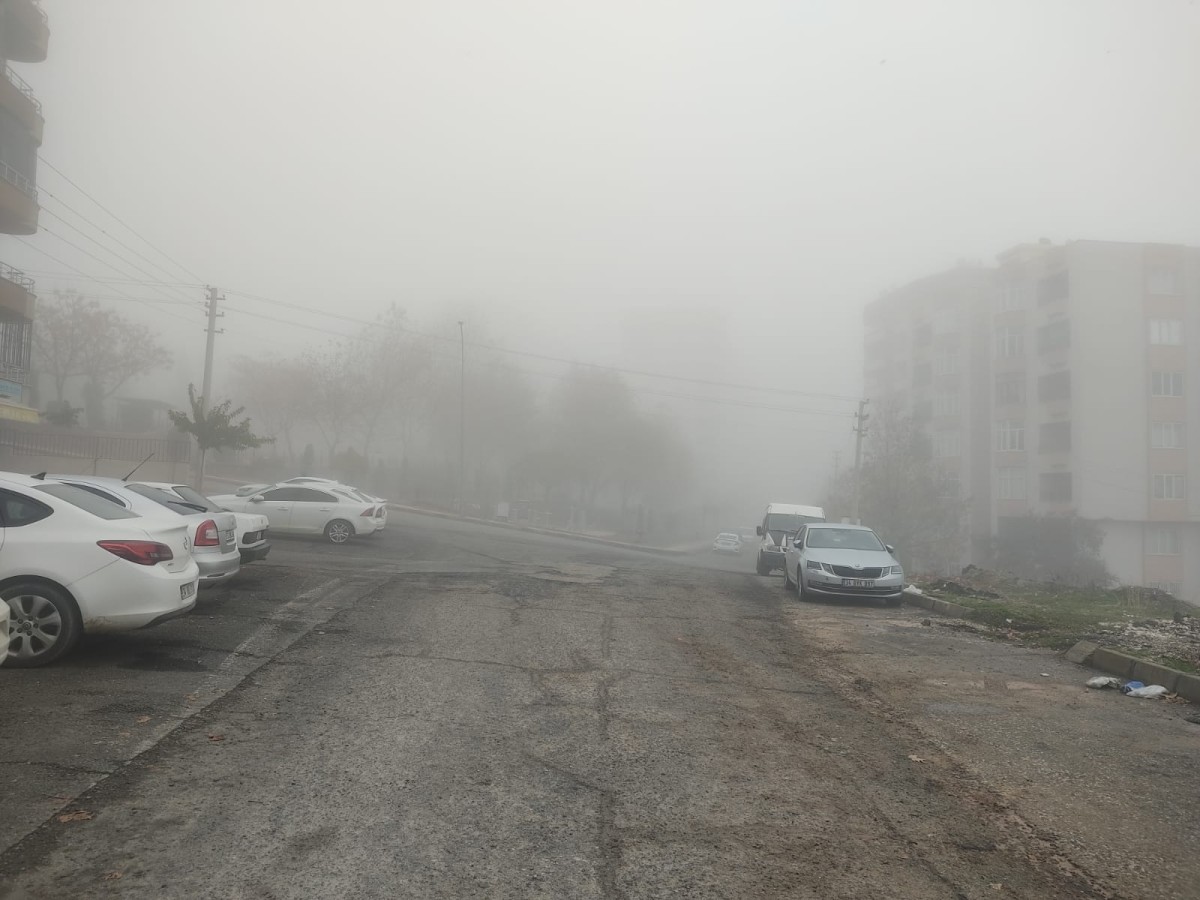 Şanlıurfa’da öğlen saatlerinde yoğun sis;