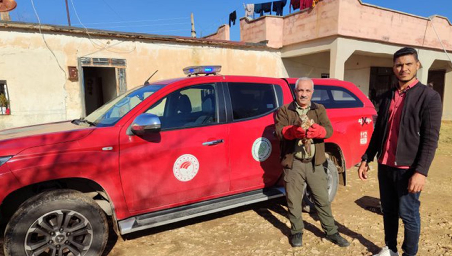 Şanlıurfa’da kızıl şahin yeniden doğaya döndü;