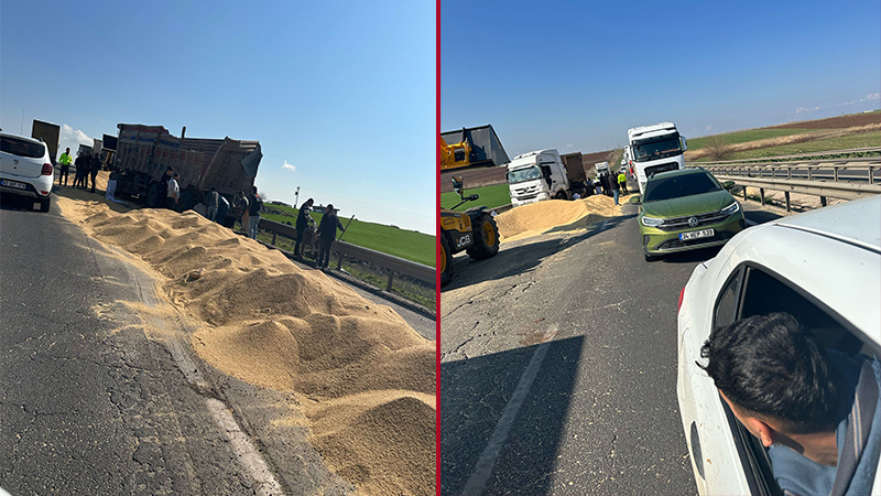 Viranşehir'de seyir halindeki kamyonun kapağı açılınca buğdaylar yola döküldü;