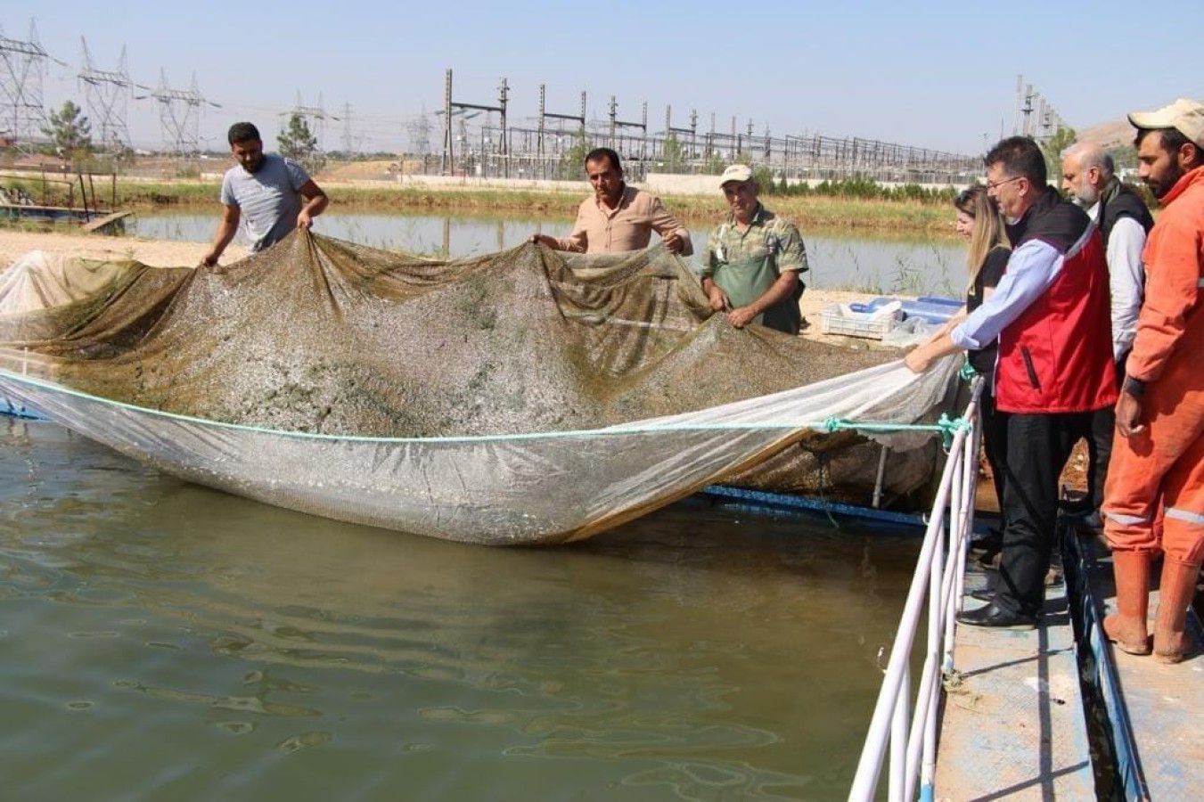 Şanlıurfa’da üretilen balıklar Türkiye’nin dört bir yanına gönderiliyor;
