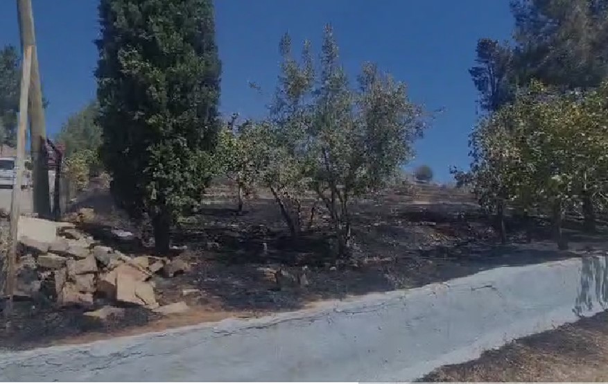 Şanlıurfa’da yangın: Fıstık ve zeytin ağaçları zarar gördü!;