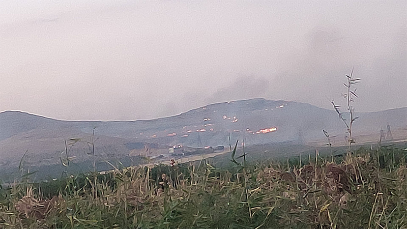 Haliliye'deki kırsal yangın hızlı müdahale ile kontrol altına alındı;