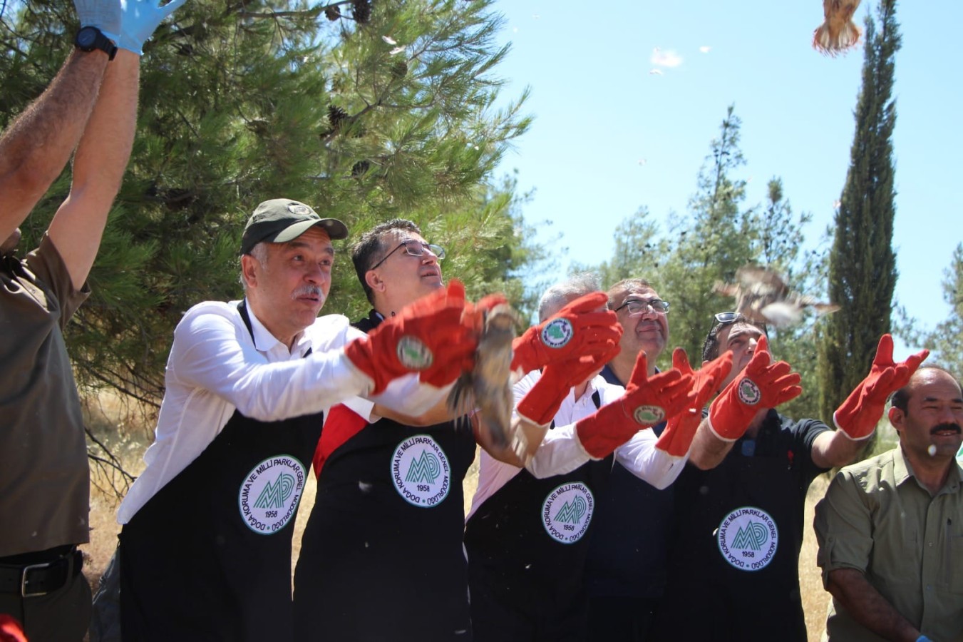 Şanlıurfa'da doğaya keklik salındı;