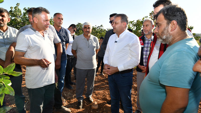 Vali Şıldak erken fıstık hasadına katıldı;