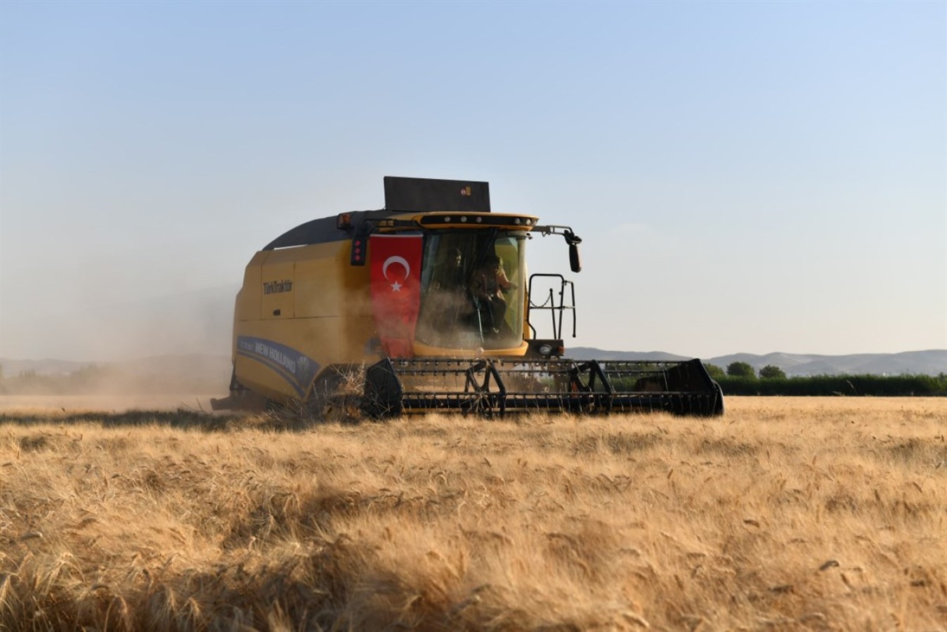 Urfa buğday üretiminde 3. sırada;