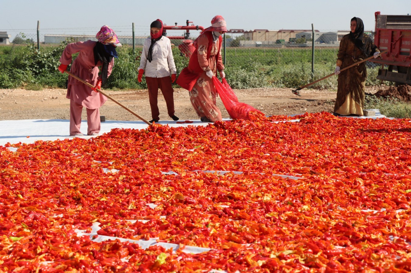 Şanlıurfa’da mevsimlerden ‘kırmızı’;