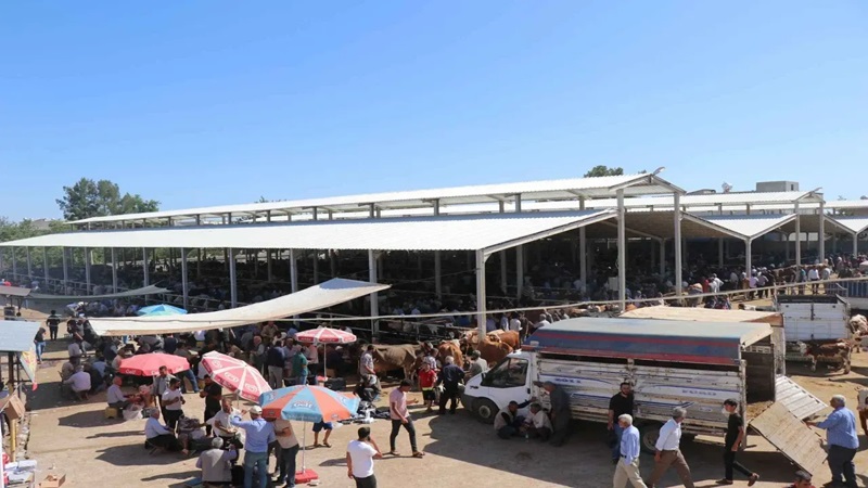 Şanlıurfa’da haftalardır kapalı olan hayvan pazarı yeniden açılıyor;