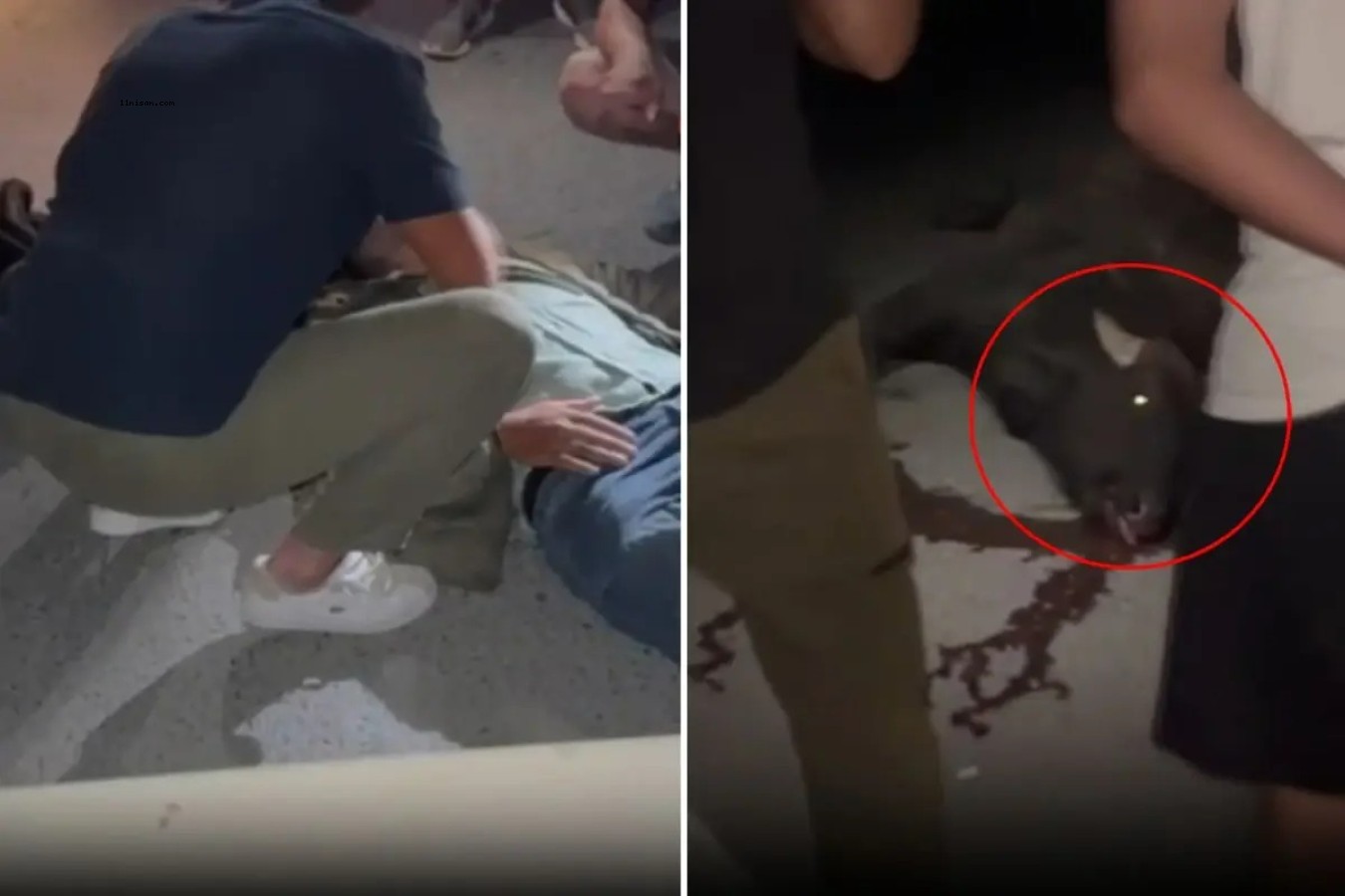 İSTANBUL'DA ORTALIĞI KAN GÖLÜNE ÇEVİREN BİR GARİP KAZA;