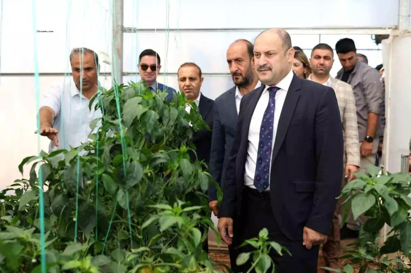 ŞANLIURFA BÜYÜKŞEHİR BELEDİYESİ ATA TOHUMUNA SAHİP ÇIKIYOR;