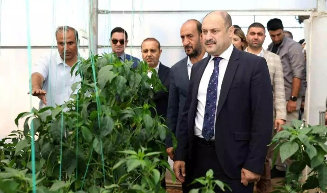 ŞANLIURFA BÜYÜKŞEHİR BELEDİYESİ ATA TOHUMUNA SAHİP ÇIKIYOR