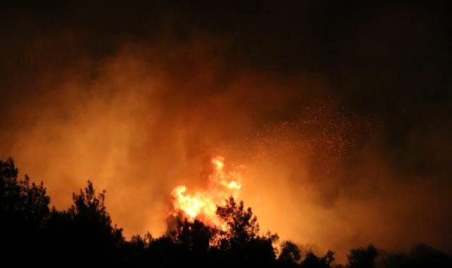 Adana'da ormanlık alanda yangın;