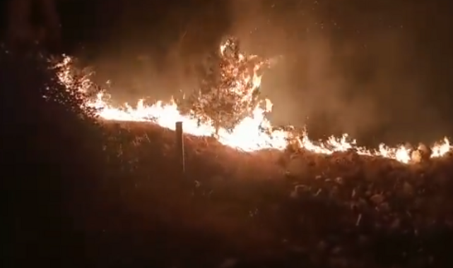Şanlıurfa’da orman yangını!;