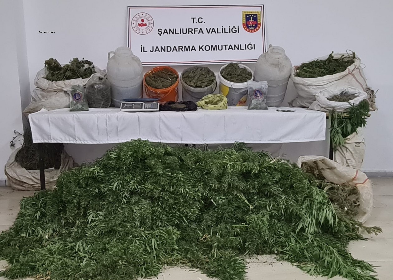 Viranşehir’de jandarmadan uyuşturucu operasyonu;