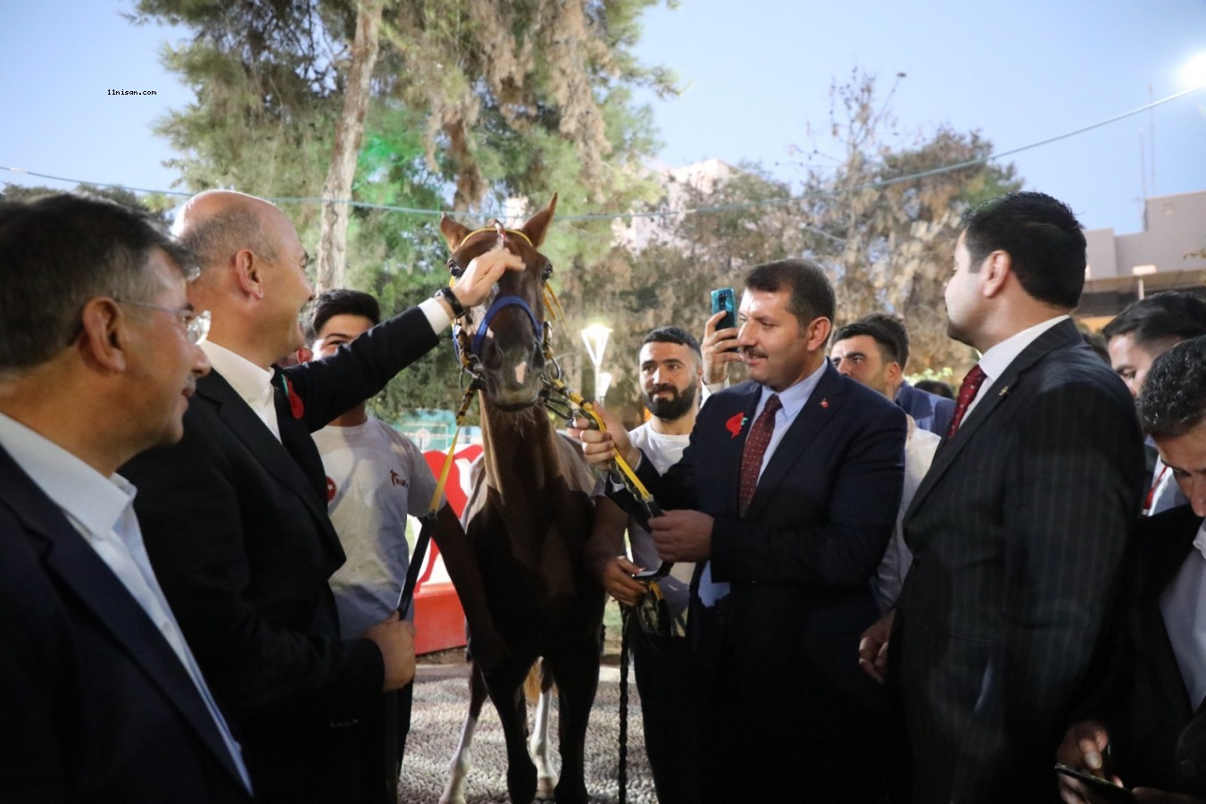 Bakan Soylu’ya Suruç'ta yarış atı hediye edildi!