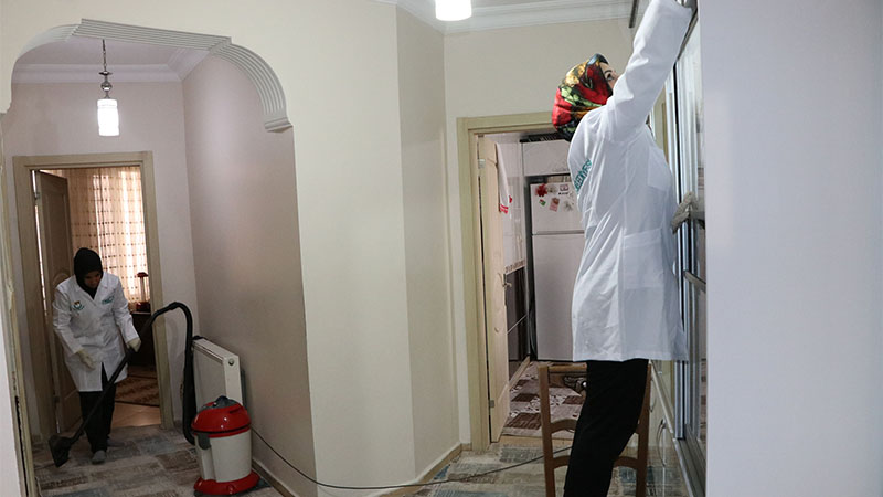Haliliye'de 576 ulu çınarın evi temizleniyor;