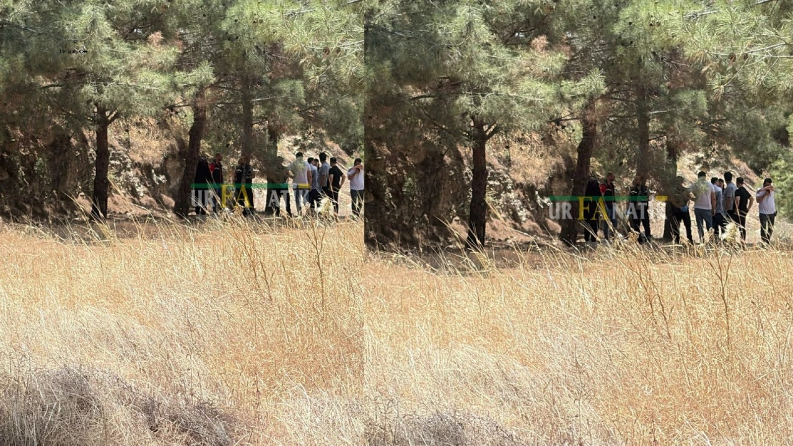 ŞANLIURFA'DAKİ ORMANDA BİR KİŞİ AĞACA ASILI HALDE BULUNDU