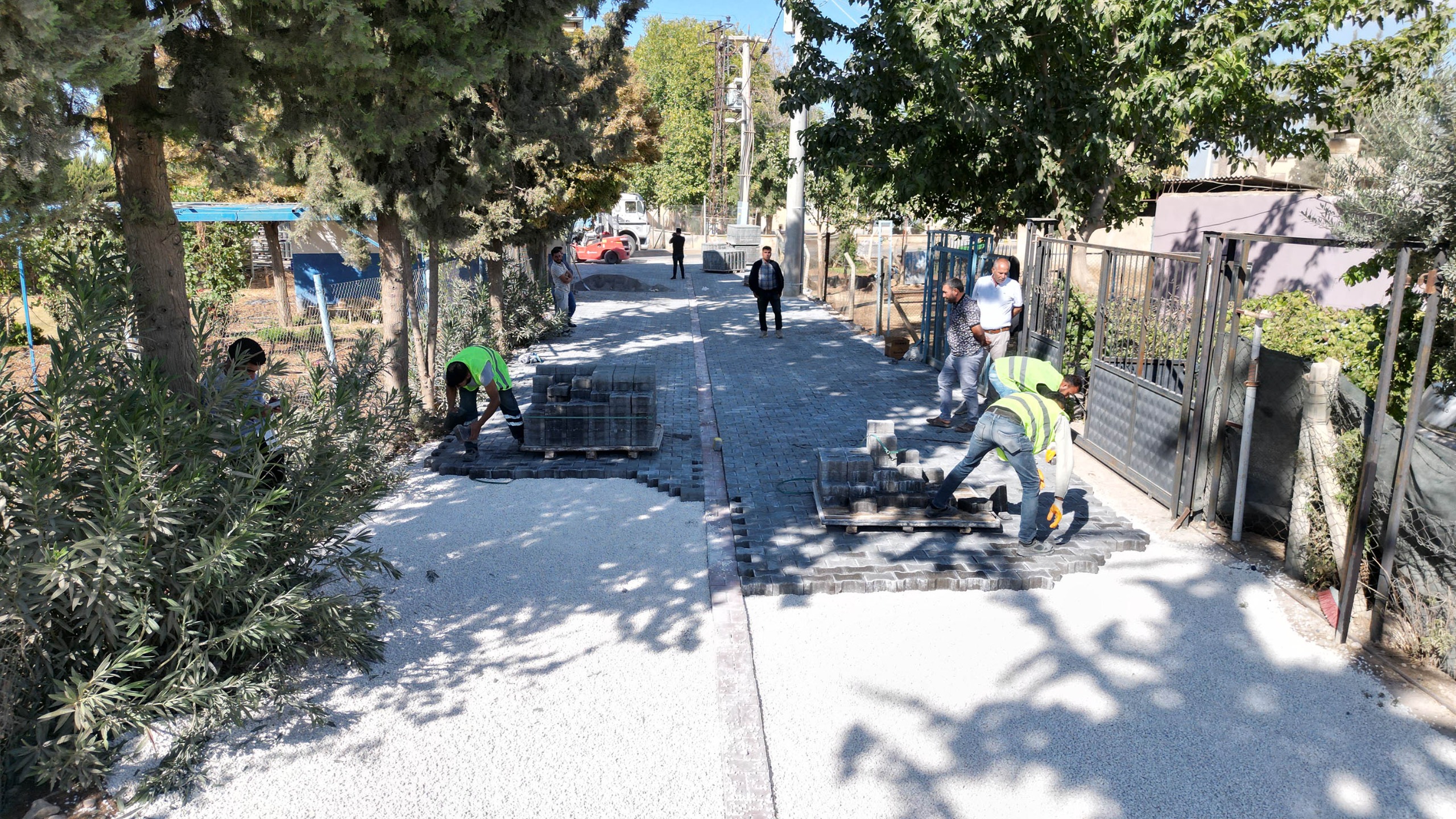 WhatsApp Image 2025-10-16 at 10.15.44.jpeg